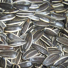 Handpicked সুস্বাদু কাঁচা সূর্যমুখী কার্নেল কম ক্যালোরি 100% সবুজ খাবার