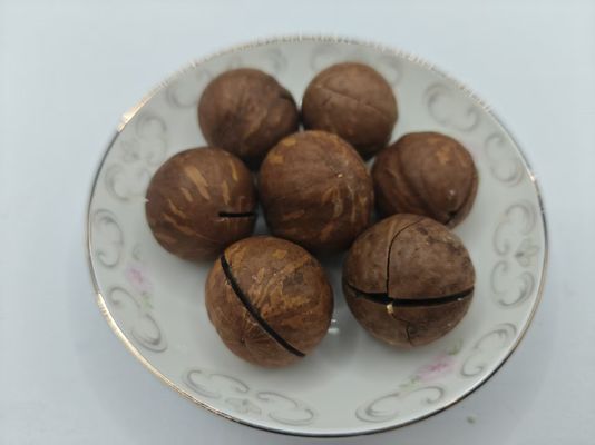 ম্যাকডামিয়া বাদাম