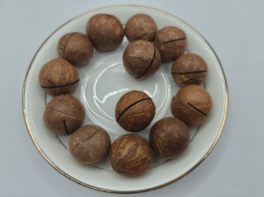 ম্যাকডামিয়া বাদাম