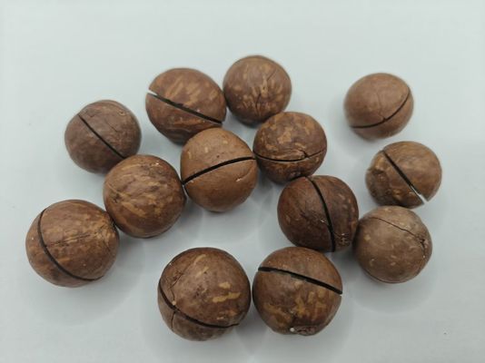 ম্যাকডামিয়া বাদাম