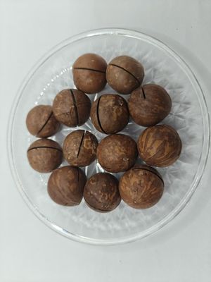 ম্যাকডামিয়া বাদাম