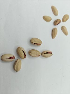 Roasted and Salt Pistachio in Shell