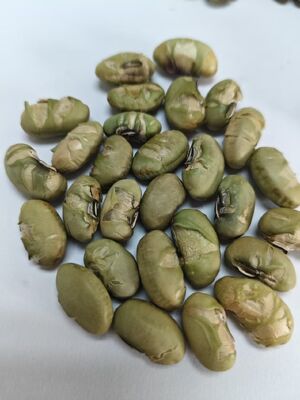 খাদ্য সংযোজন NO. Soya Bean Snacks Private Label Acceptable Style Baking Made from Ingredients Offering Crispy Texture And Natural Flavor খাদ্য সংযোজন NO. সয়া বিন স্ন্যাক্স ব্যক্তিগত লেবেল গ্রহণযোগ্য স্টাইল বেকিং ক্রাস্পি টেক্সচার এবং প্রাকৃতিক স্বাদ প্রদানকারী উপাদান থেকে তৈরি