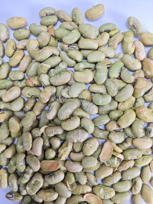 খাদ্য সংযোজন NO. Soya Bean Snacks Private Label Acceptable Style Baking Made from Ingredients Offering Crispy Texture And Natural Flavor খাদ্য সংযোজন NO. সয়া বিন স্ন্যাক্স ব্যক্তিগত লেবেল গ্রহণযোগ্য স্টাইল বেকিং ক্রাস্পি টেক্সচার এবং প্রাকৃতিক স্বাদ প্রদানকারী উপাদান থেকে তৈরি