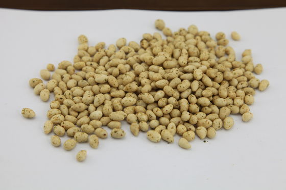 কোশার সার্টিফাইড সূর্যমুখী বীজ স্নেক, রোস্ট সানফ্লাওয়ার কার্নেল সুস্বাদু গন্ধ