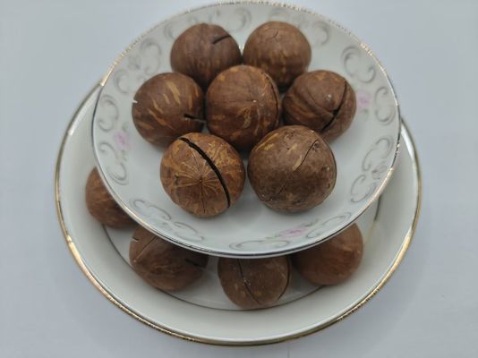 ম্যাকডামিয়া বাদাম